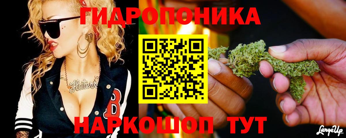 Шишки марихуана White Widow  Каннабис Bruce Banner  Бошки марихуана THC 21%  Вход с VPN  Выборг 